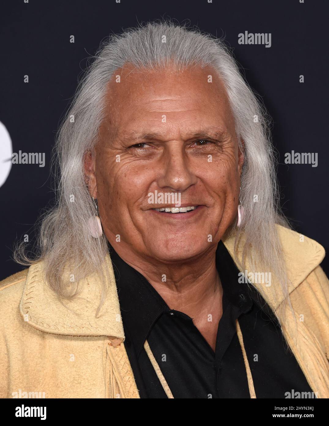 Michael Horse attending the premiere of The Call of the Wild in Los Angeles, California Stock Photo