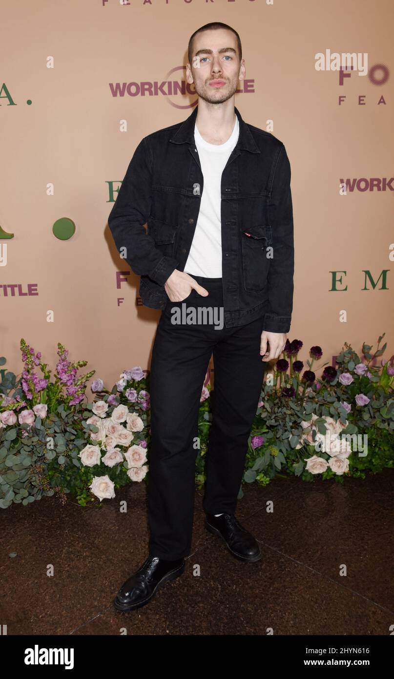Blake Jacobsen attending the Emma Premier, held at the Directors Guild of America Theatre, Los Angeles, USA on Tuesday February 18, 2020. Stock Photo