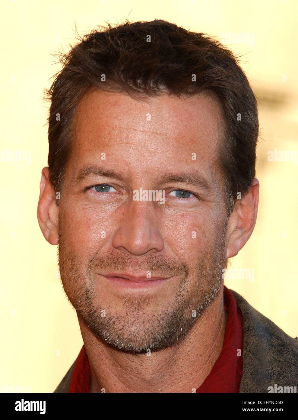 James Denton attends the 33rd Annual American Music Awards at the ...