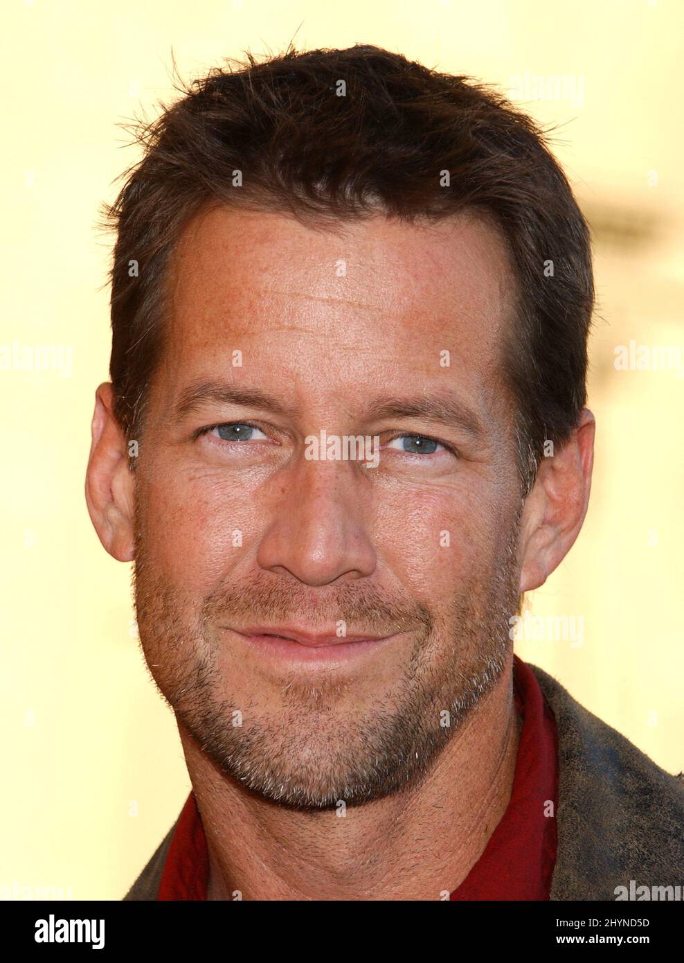 James Denton attends the 33rd Annual American Music Awards at the