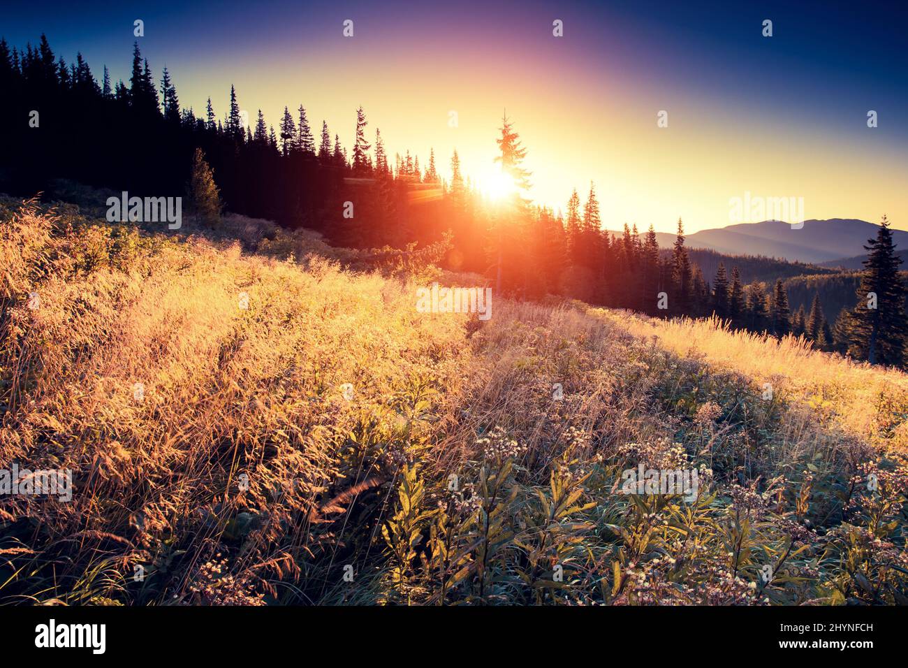 Majestic mountains in the morning sunlight. National Park. Carpathian ...
