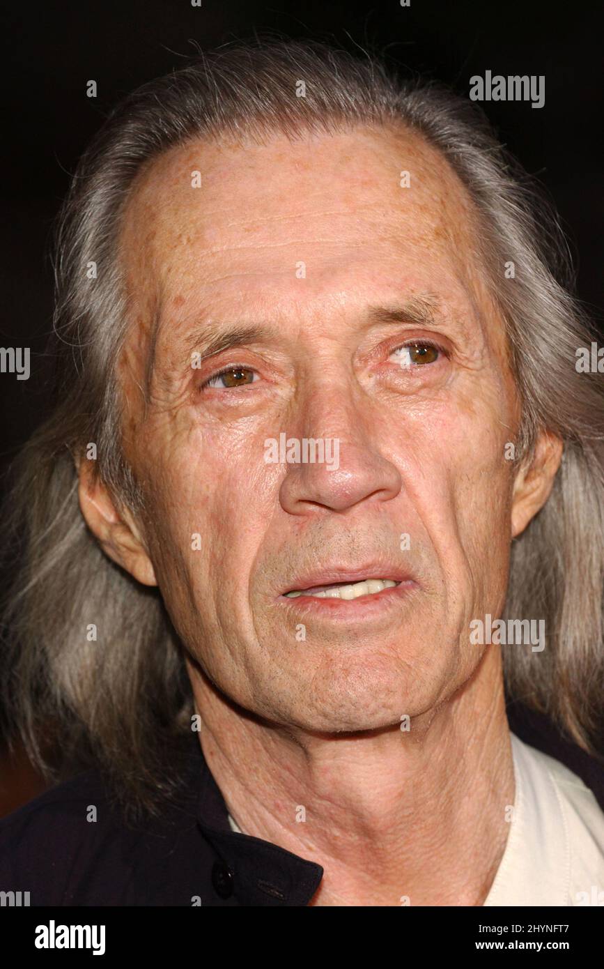 DAVID CARRADINE ATTENDS THE 'CHARLIES ANGELS: FULL THROTTLE' PREMIERE IN HOLLYWOOD. PICTURE: UK PRESS Stock Photo