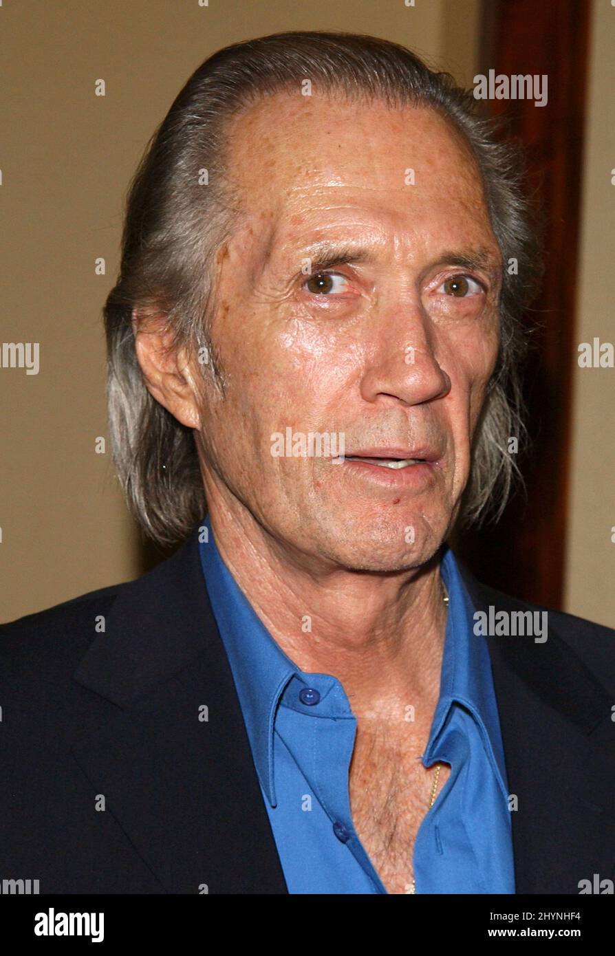 DAVID CARRADINE ATTENDS 'THE 29th ANNUAL DINNER OF CHAMPIONS' IN CALIFORNIA. PICTURE: UK PRESS Stock Photo
