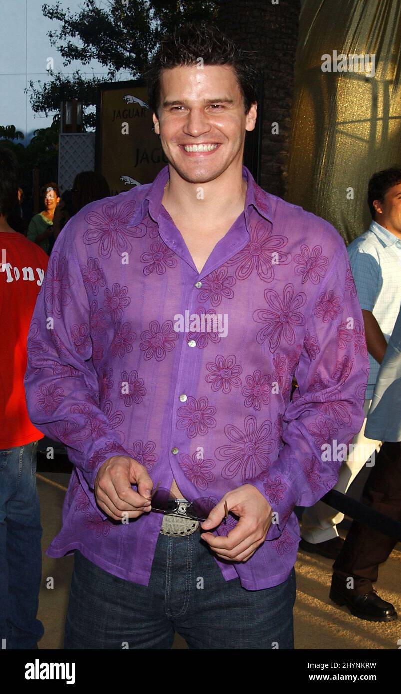 David boreanaz attends austin powers goldmember premiere california
