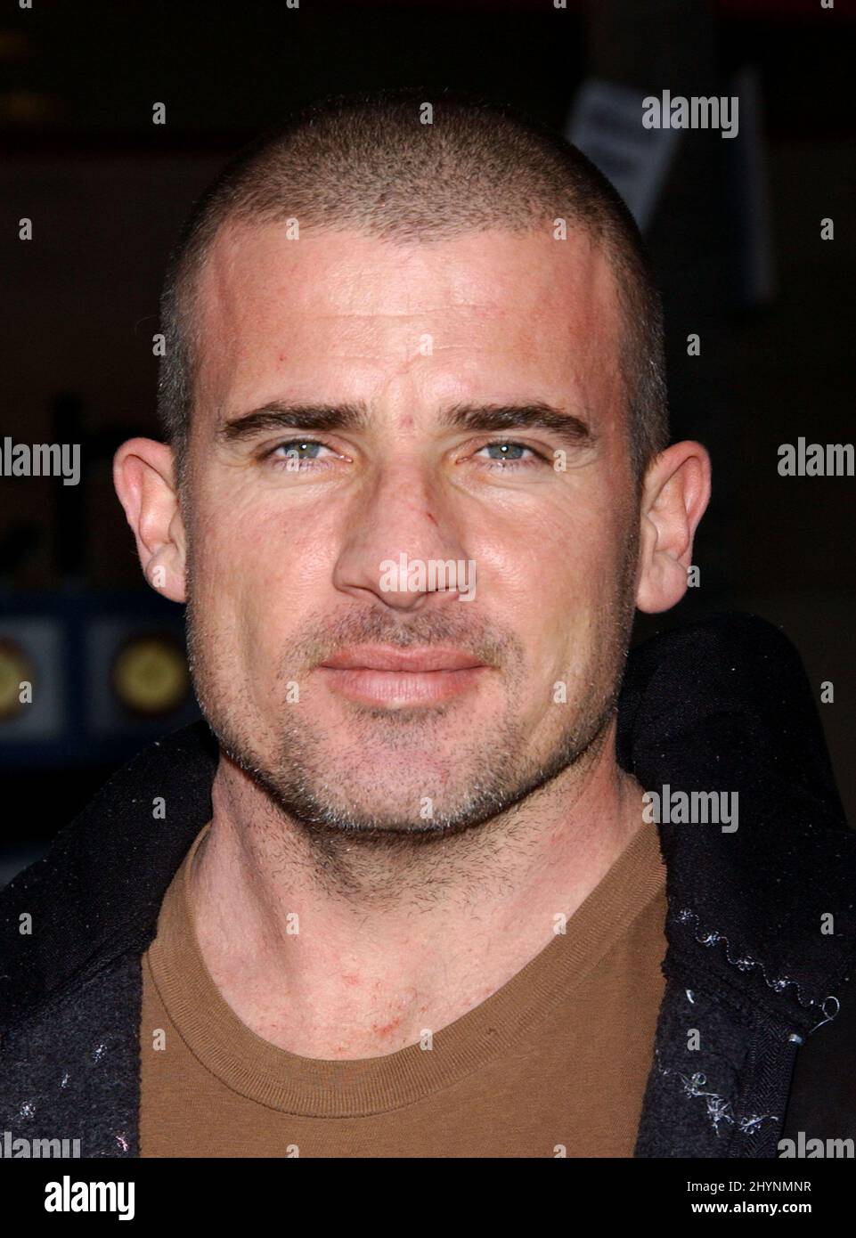 Dominic Purcell attends the 'Ice Age The Meltdown' Premiere at Grauman