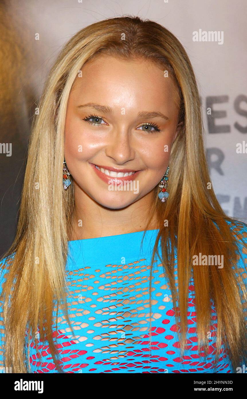 Hayden attends the 'Iron Jawed Angels' Hollywood Premiere