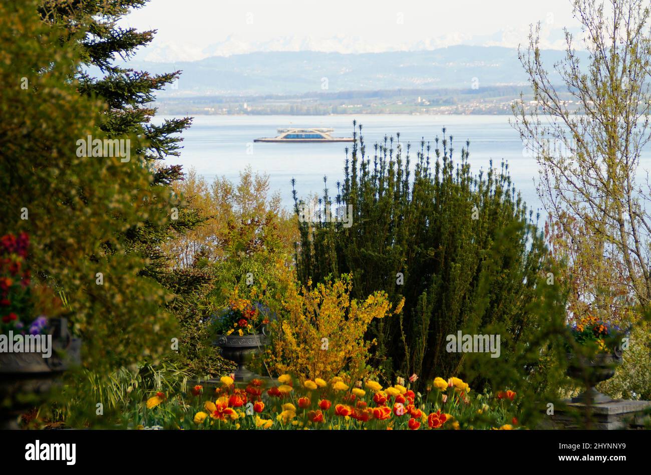 A Beautiful View From Flower Island Mainau And The Majestic Green Trees A Beautiful View From Flower Island Mainau And The Majestic Green Trees