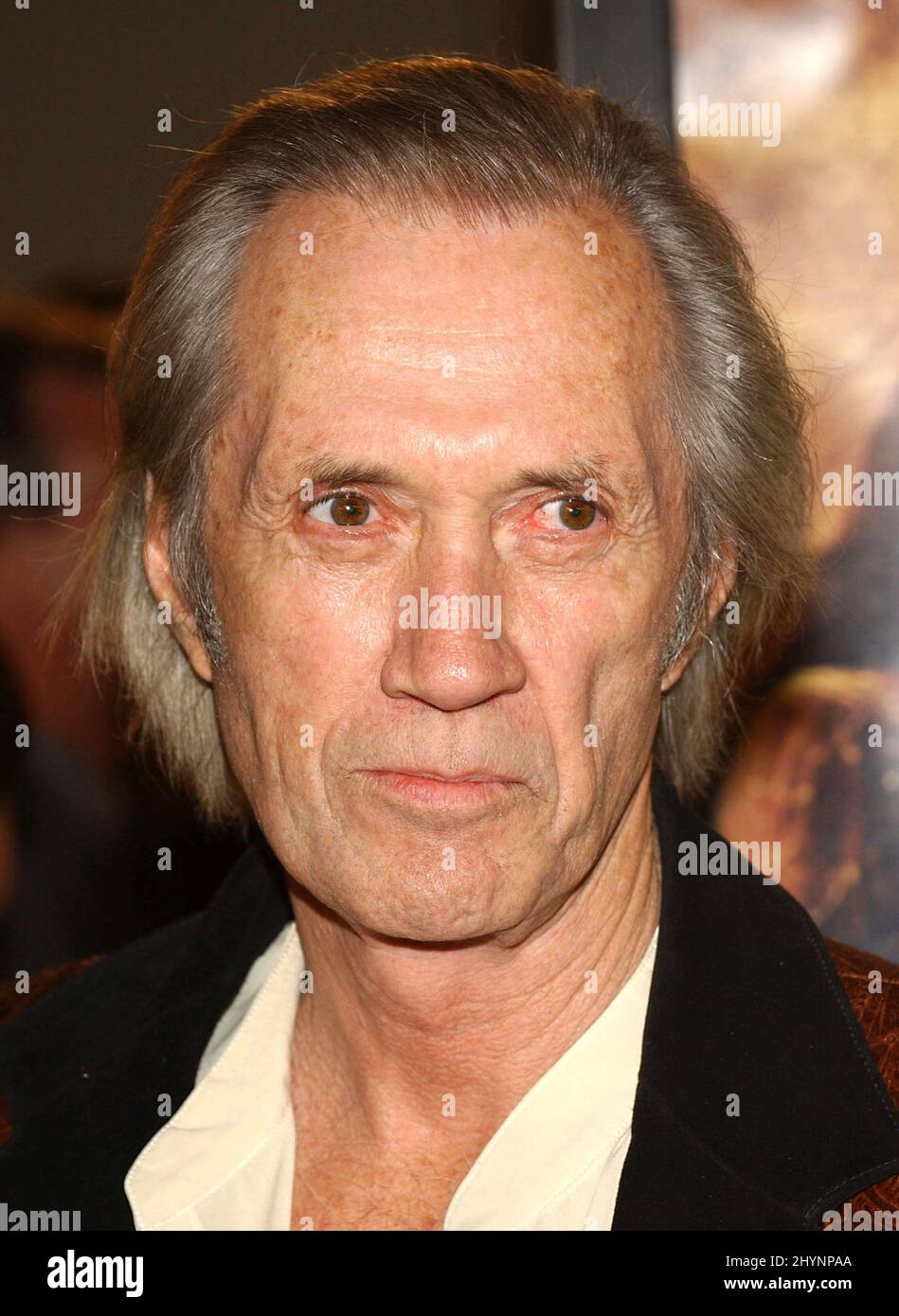 DAVID CARRADINE ATTENDS THE 'LORD OF THE RINGS: THE RETURN OF THE KING' IN WESTWOOD, CALIFORNIA. PICTURE: UK PRESS Stock Photo