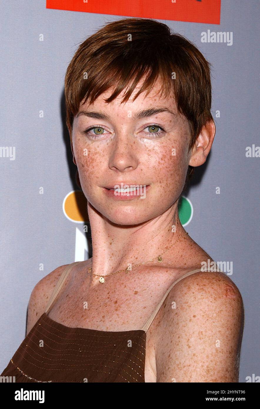 Julianne Nicholson Attends An Nbc All Star Party In Pasadena Picture