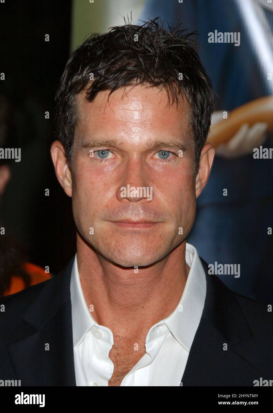 Dylan Walsh attends the 'Nip/Tuck' Season Four Premiere Screening in ...