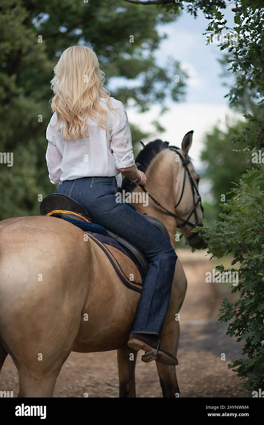 Vertical shot of a blonde girl riding a horse on a road Stock Photo Alamy