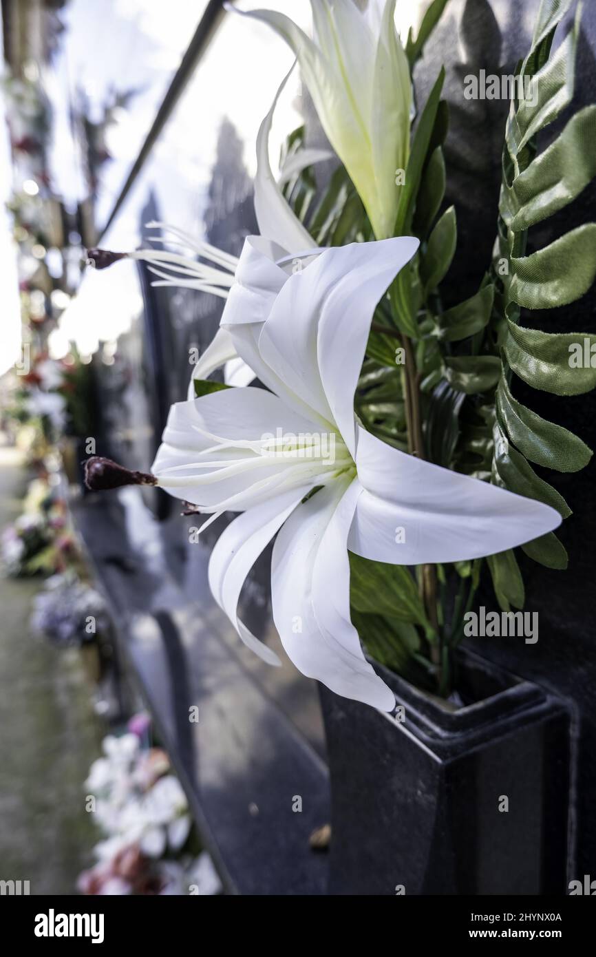 Detail of flowers to remember the dead Stock Photo Alamy