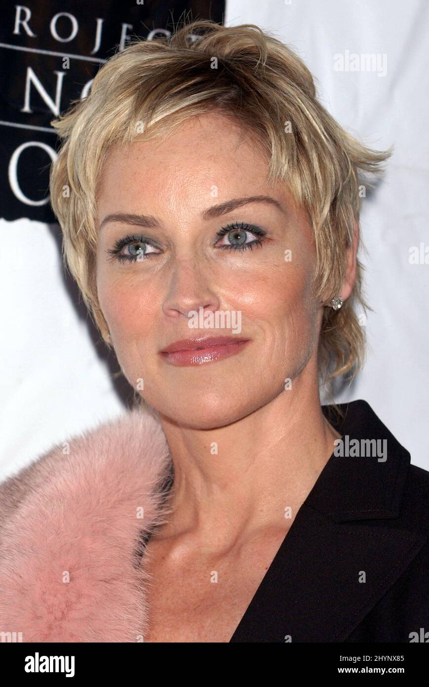 Sharon Stone attends 'Project Angel Food's Angel Awards Gala' in