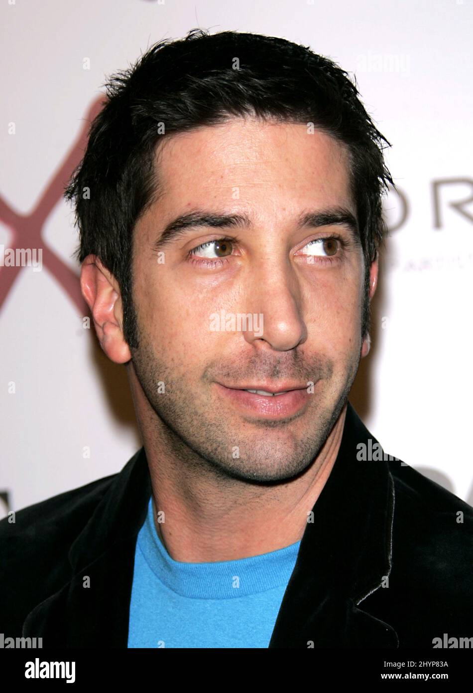 David Schwimmer attends the 'The Aviator' Premiere in Los Angeles