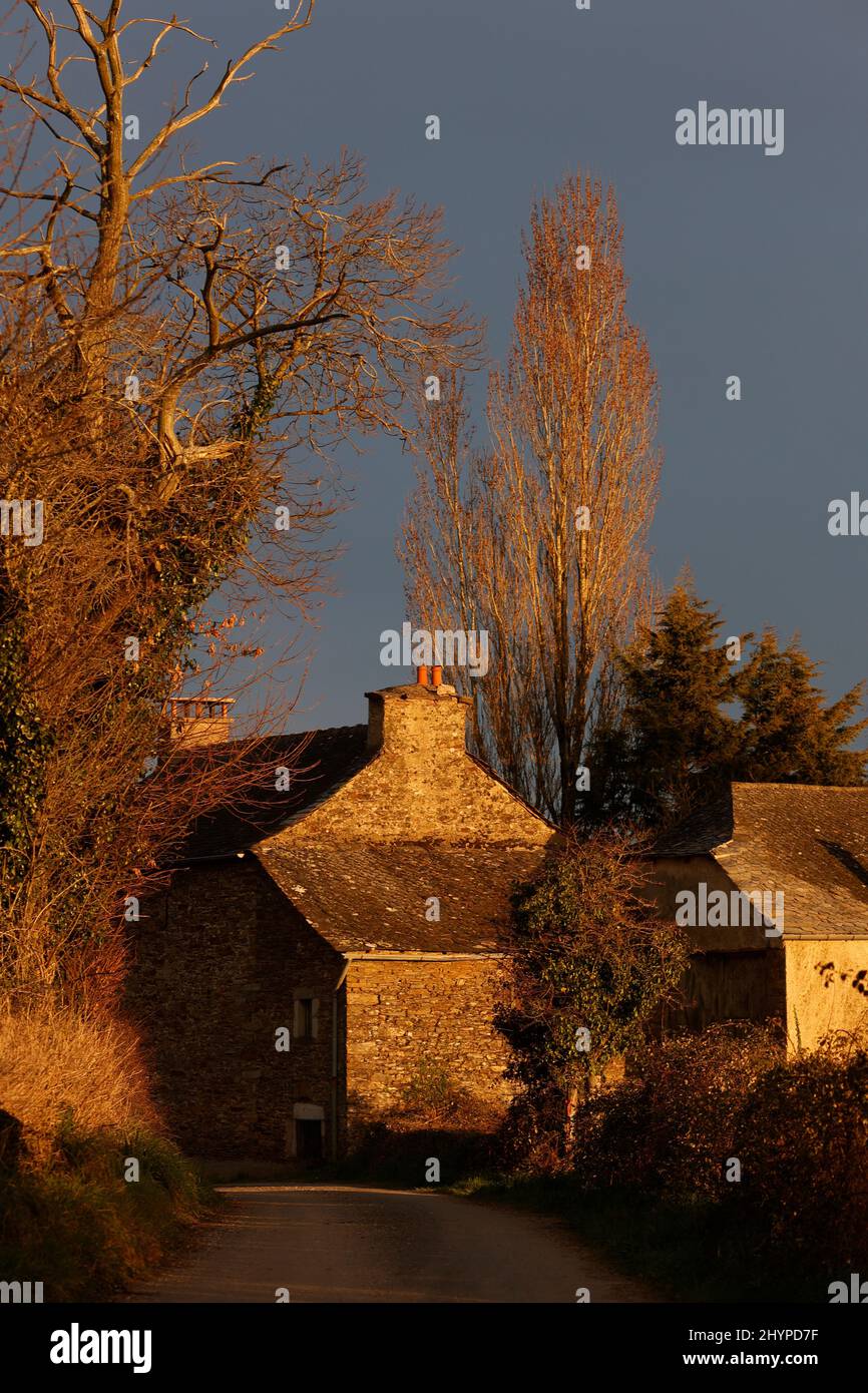Old country house in sunlight with trees Stock Photo - Alamy