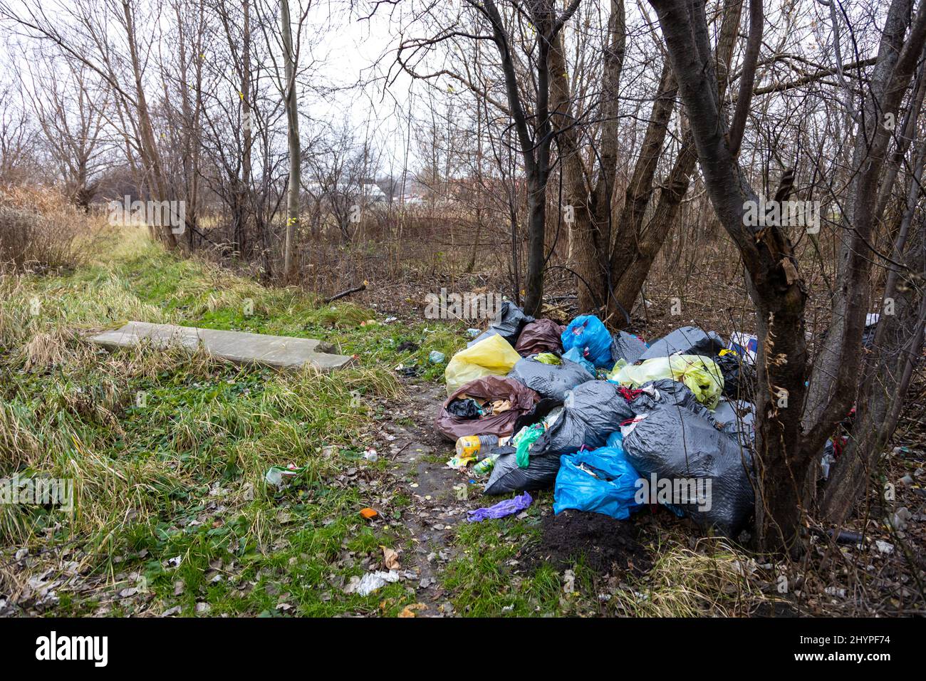 https://c8.alamy.com/comp/2HYPF74/illegal-garbage-dump-in-the-forest-rubbish-in-the-forest-picture-taken-in-the-cloudy-day-natural-light-conditions-2HYPF74.jpg