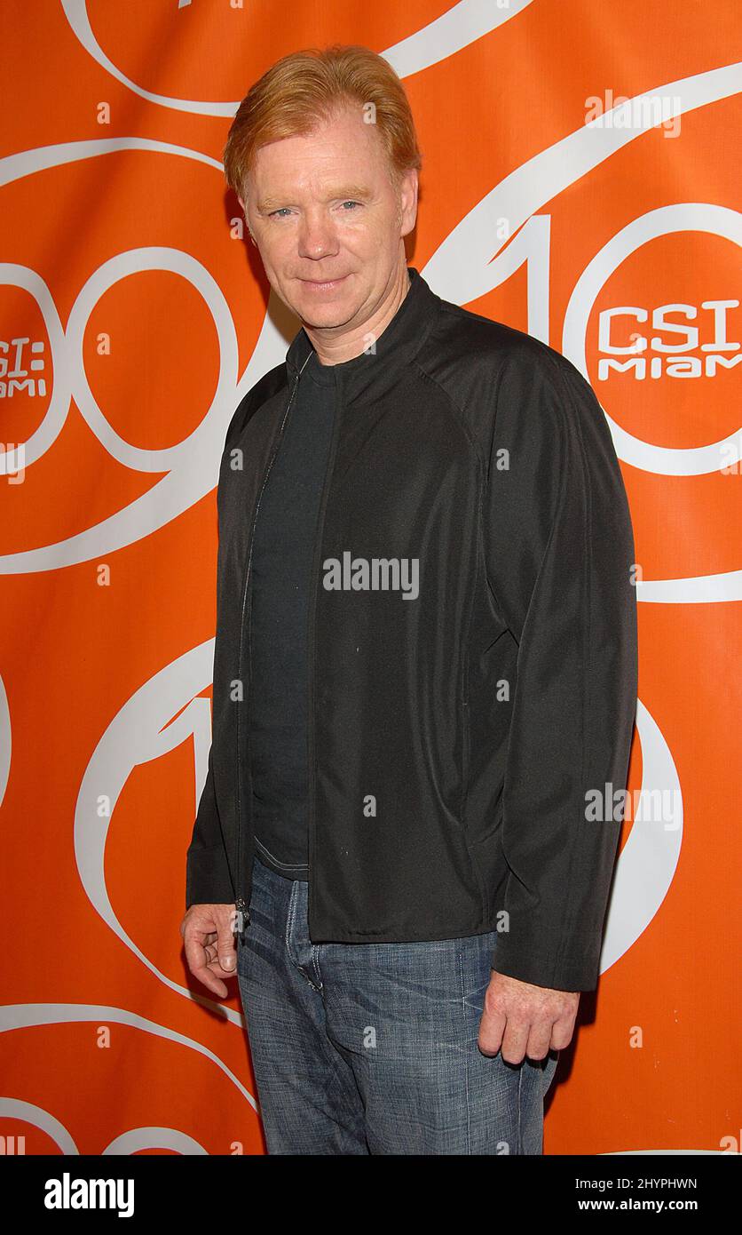 David caruso hi-res stock photography and images - Alamy