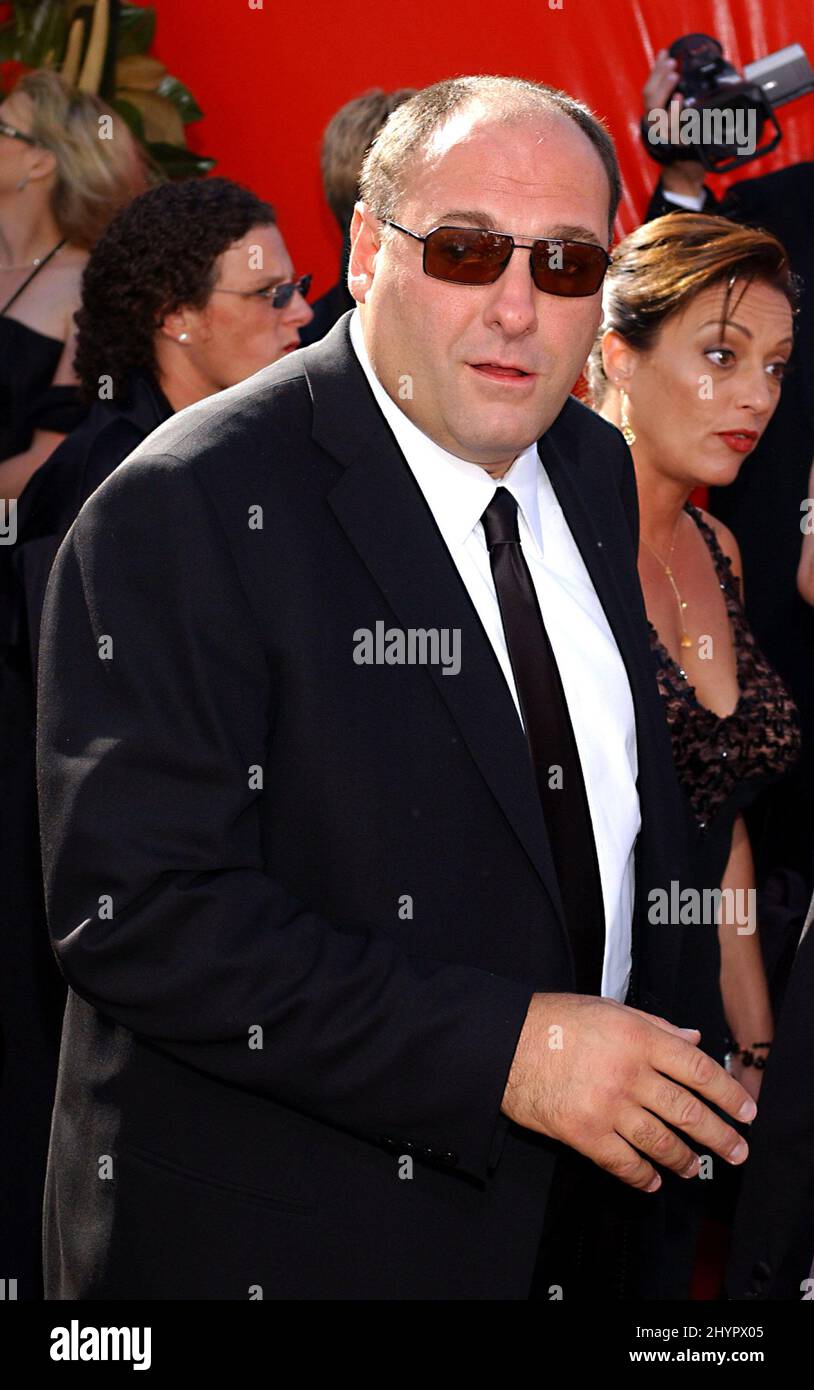 James Gandolfini attends the 56th annual Emmy Awards at the Shrine