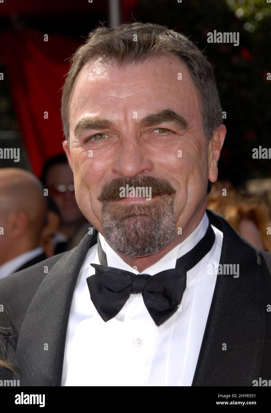 Selleck hires stock photography and images Alamy