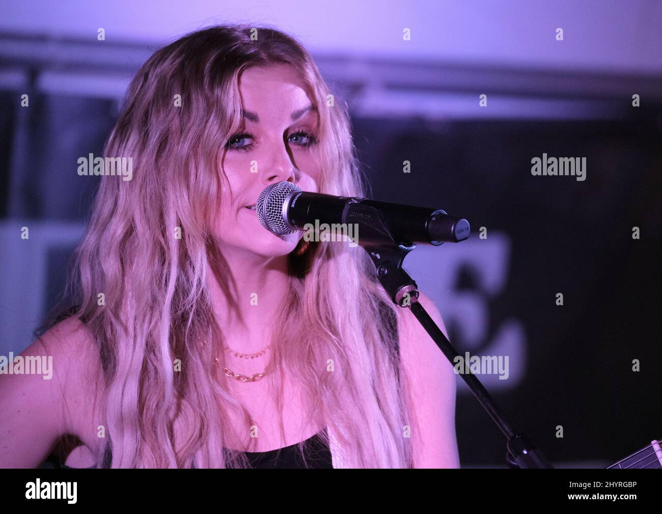 Lindsay Ell onstage at Christmas 4 Kids 'When Pigs Fly' dinner event in Hendersonville Stock Photo