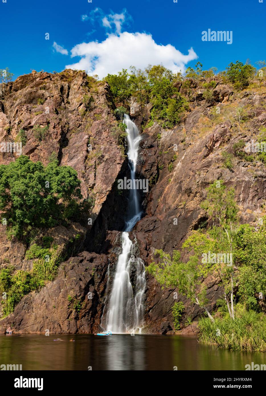 Vertical photo of a waterfall on a hill with plants and bushes Stock ...