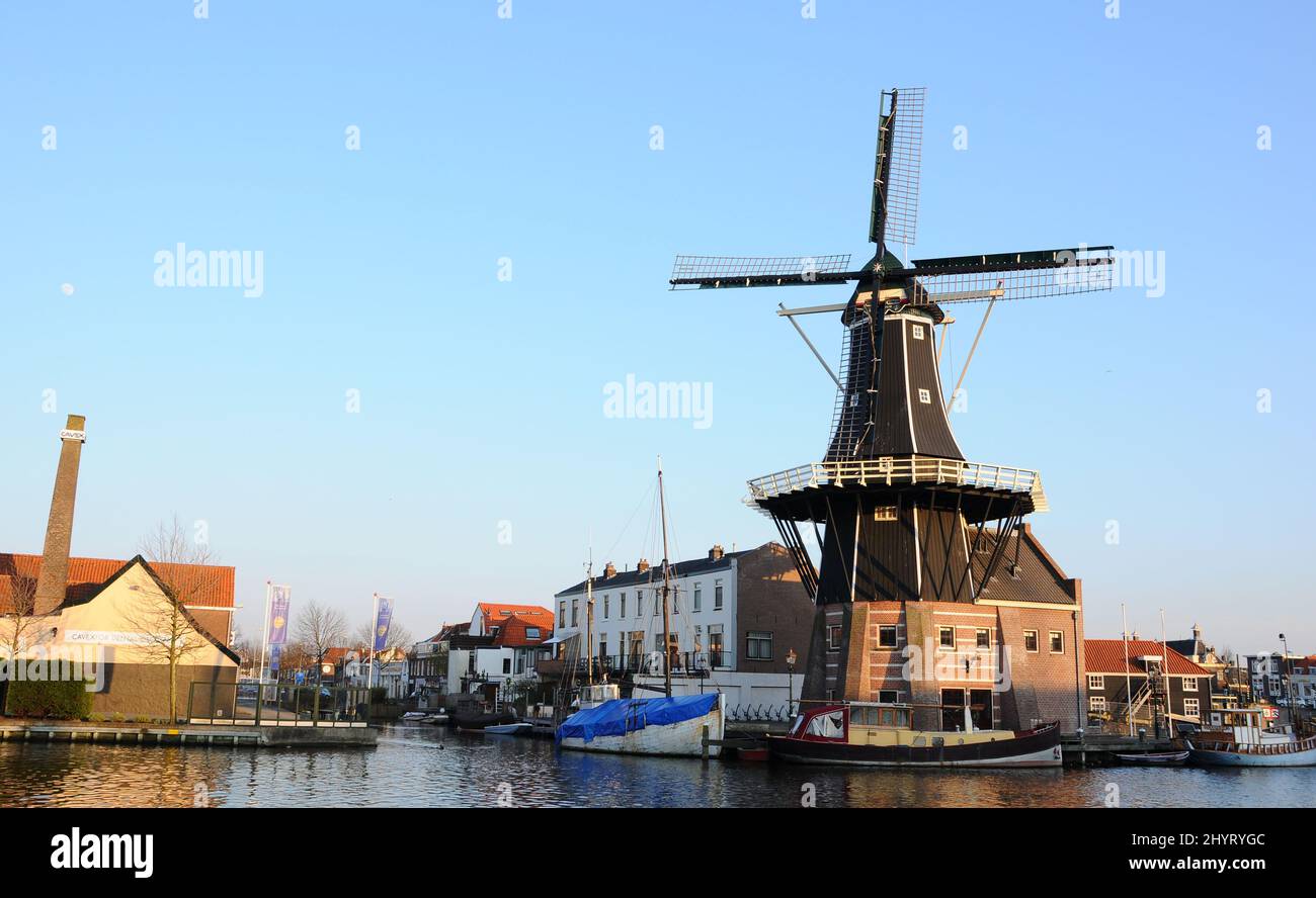 2008 haarlam hi-res stock photography and images - Alamy