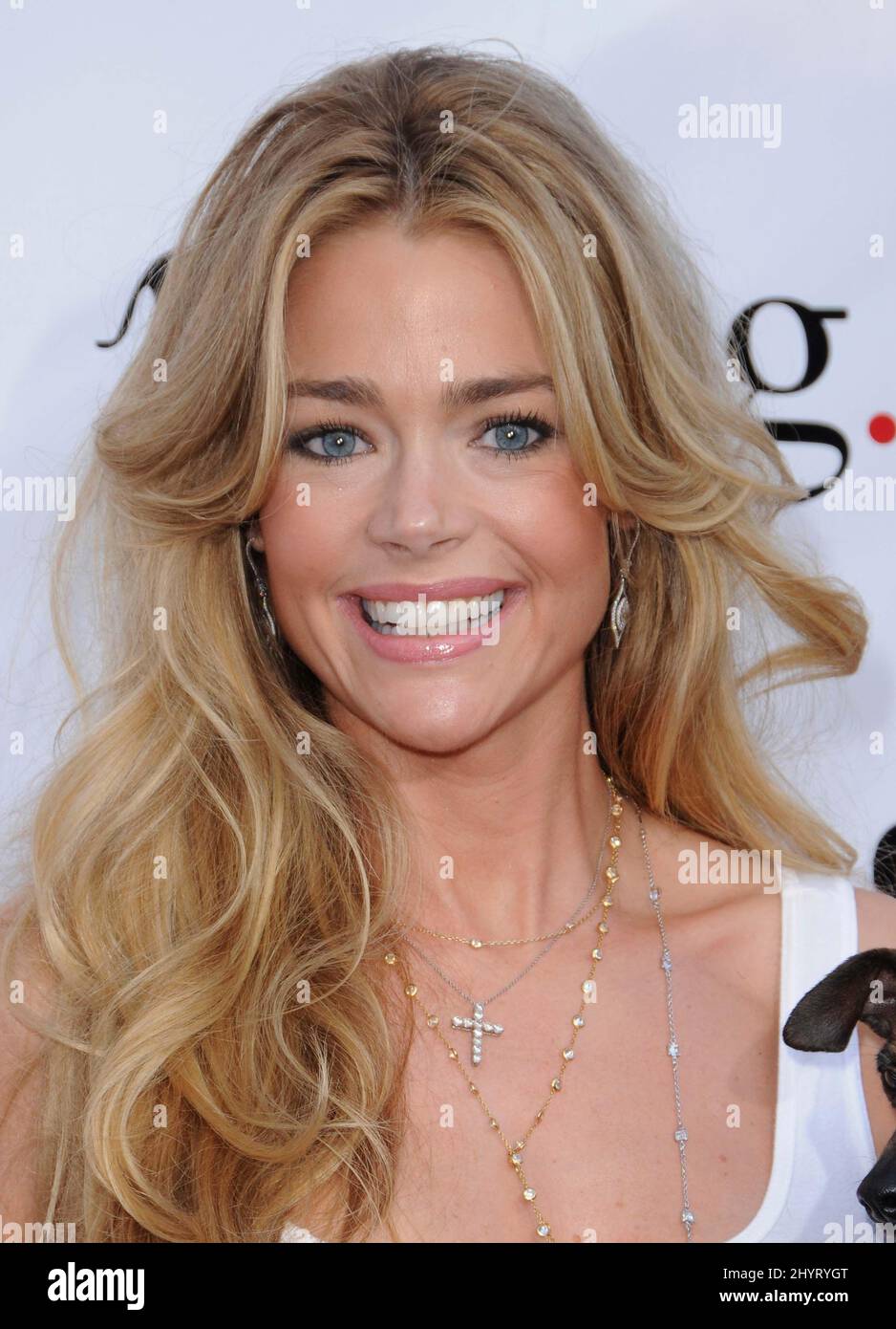 Denise Richards during the Much Love Animal Rescue's 2nd Annual BOW WOW WOW! held at the Playboy Mansion, Los Angeles. Stock Photo