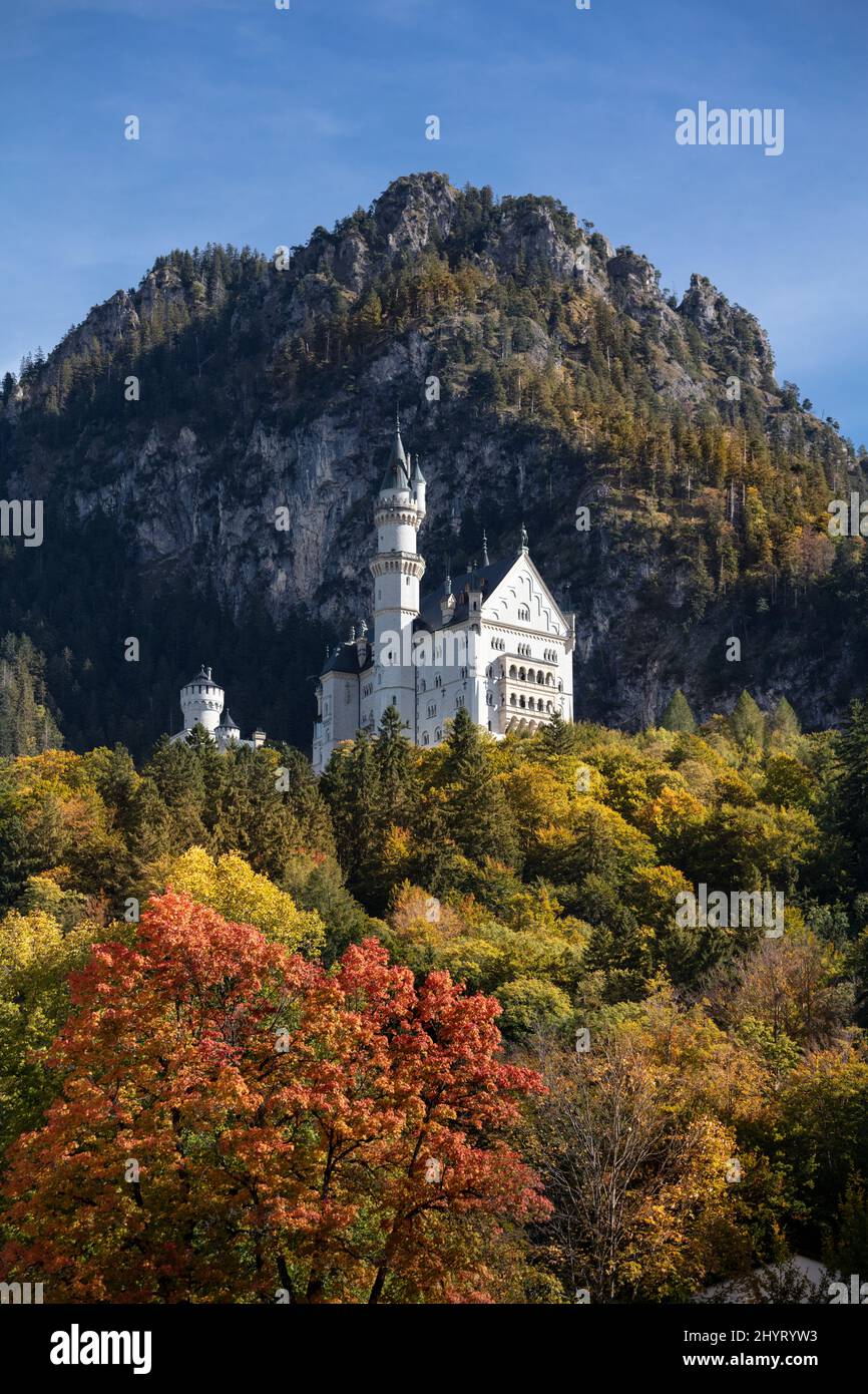 Neuschwanstein Castle (Schloss Neuschwanstein) in fall colors Bavaria