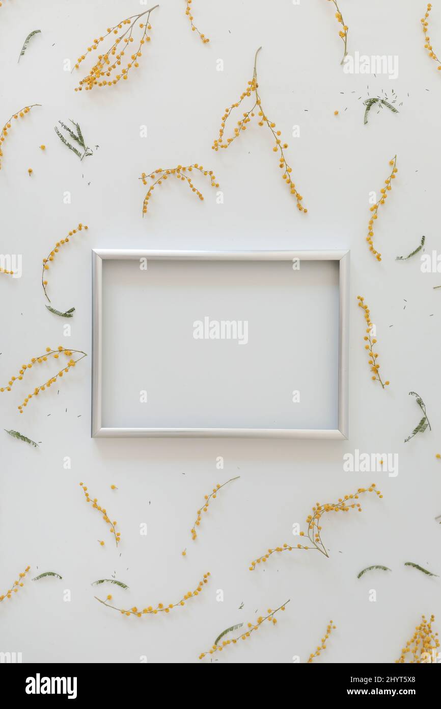 mockup with yellow mimosa flowers and blank photo frame with copy space. Spring, Easter concept Stock Photo