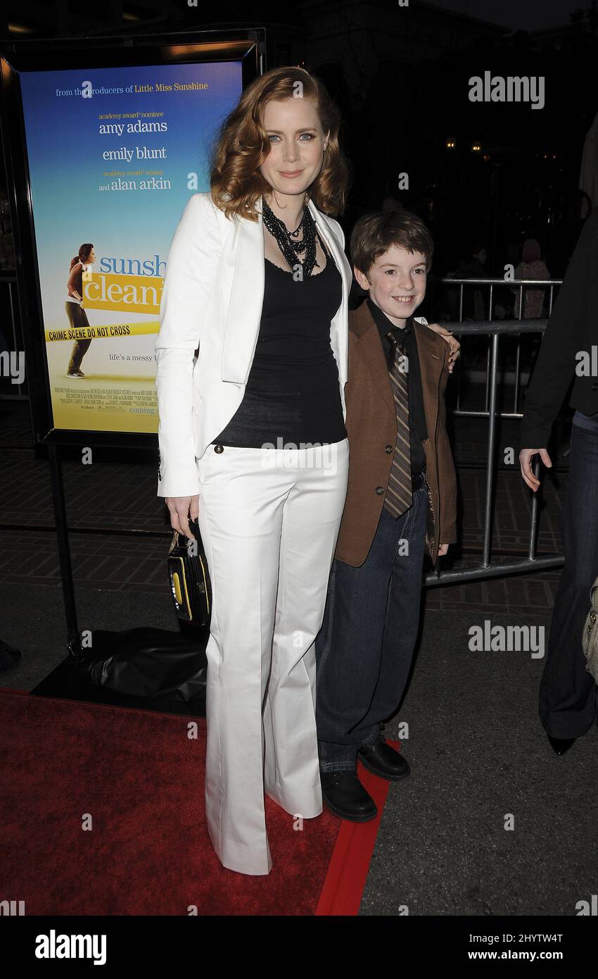 Amy Adams attending 'Sunshine Cleaning' Los Angeles Premiere, Los Angeles. Stock Photo