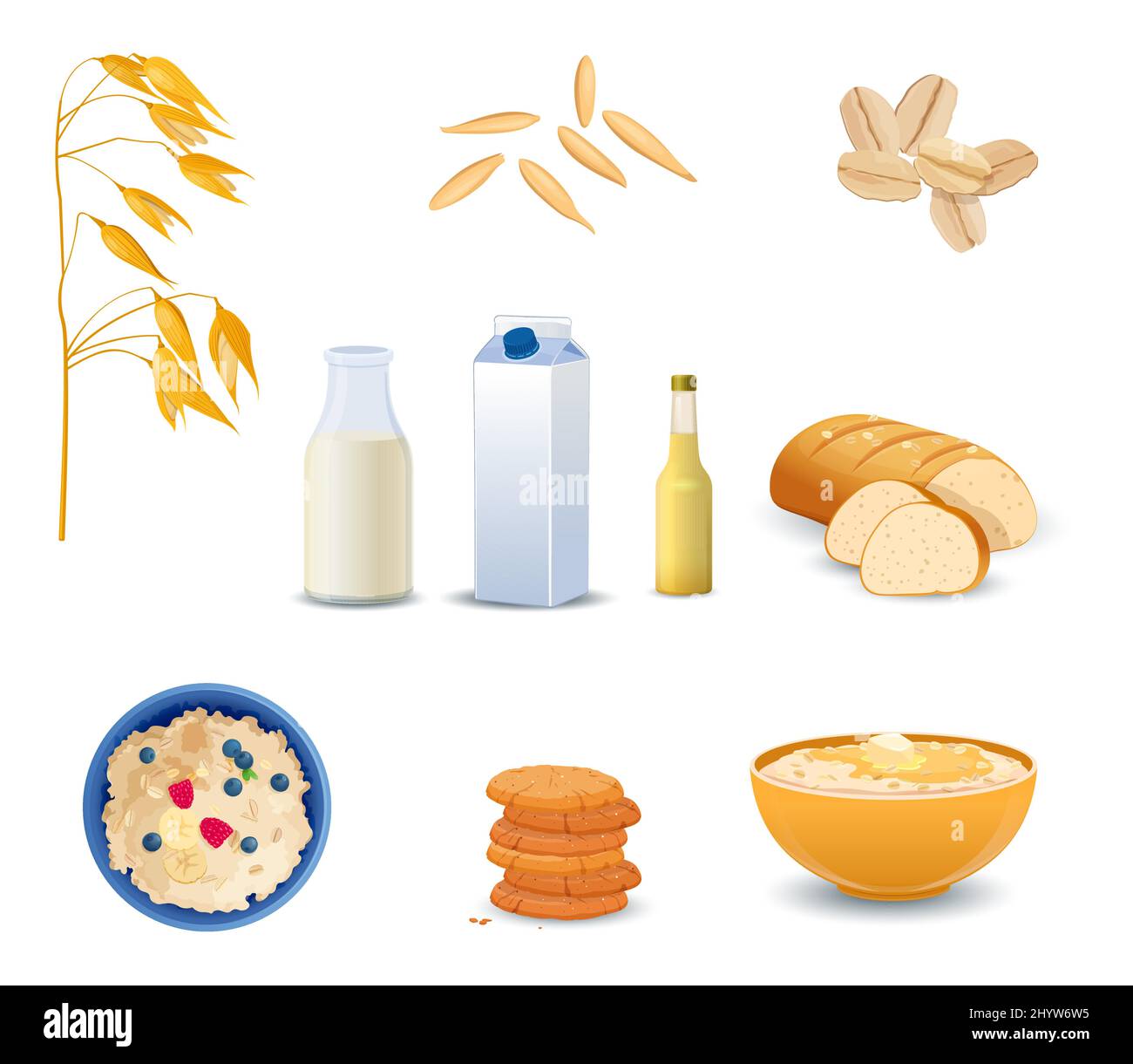 Different oat products isolated on white background Stock Vector