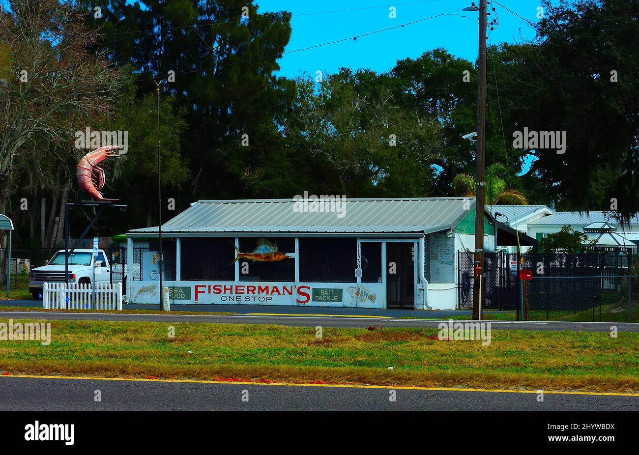 One-stop shop of Sea Food and Bait store in Gibsonton, Florida