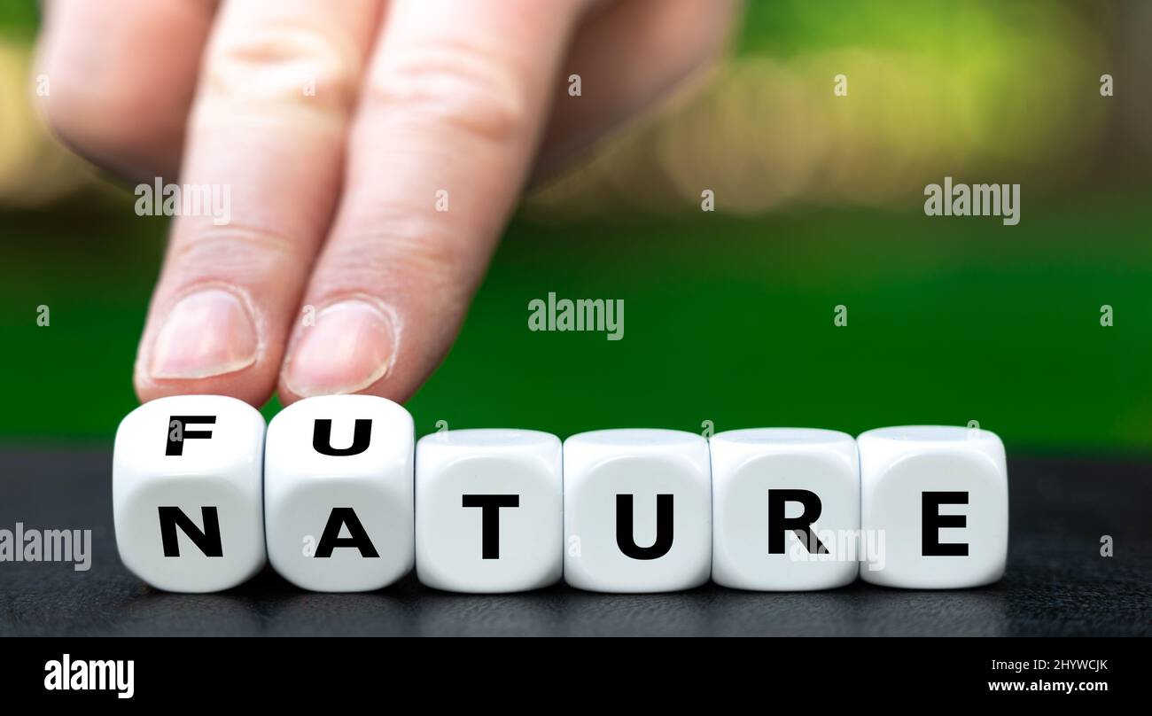Dice forms the words nature and future. Stock Photo