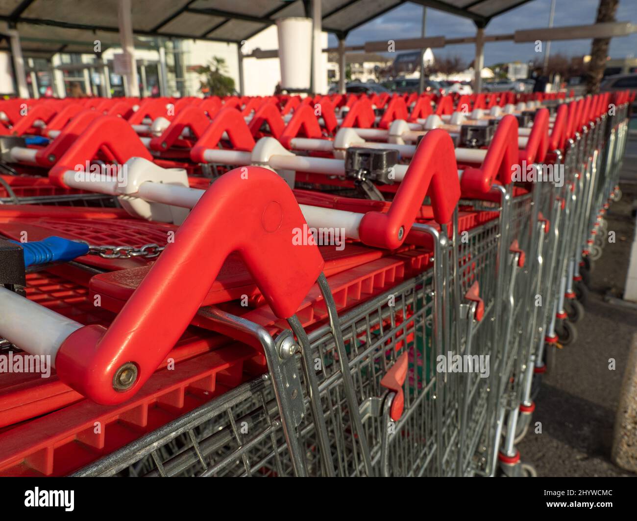 Shopping carts in the store, assembled in a row in the parking lot