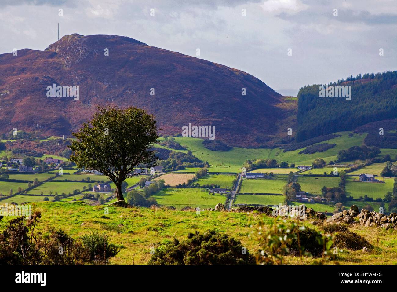 Ring of Gullion in county Armagh the site of an extinct Volcano and blow holes, Northern Ireland Stock Photo