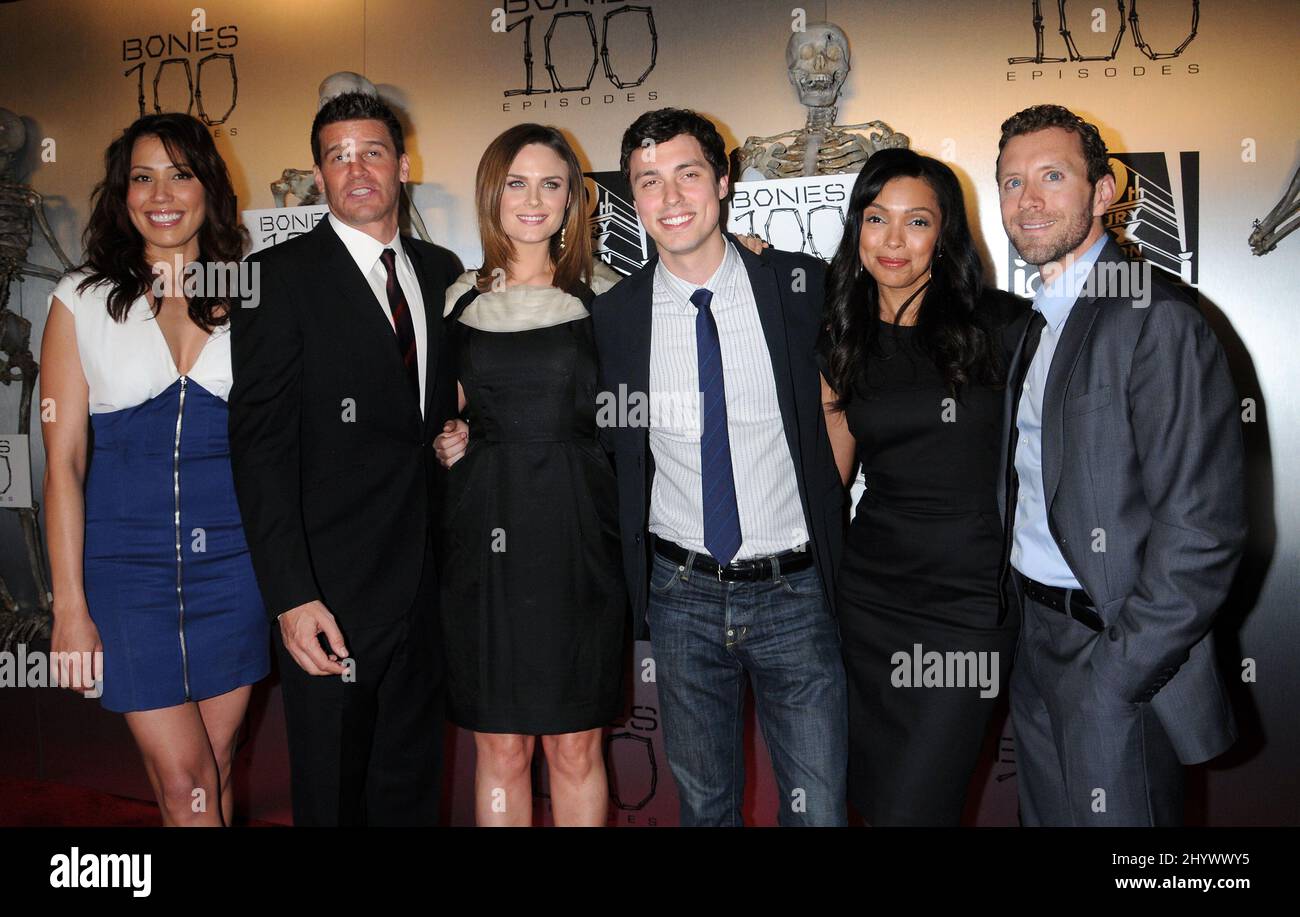 Michaela Conlin, David Boreanaz, Emily Deschanel, John Francis Daley
