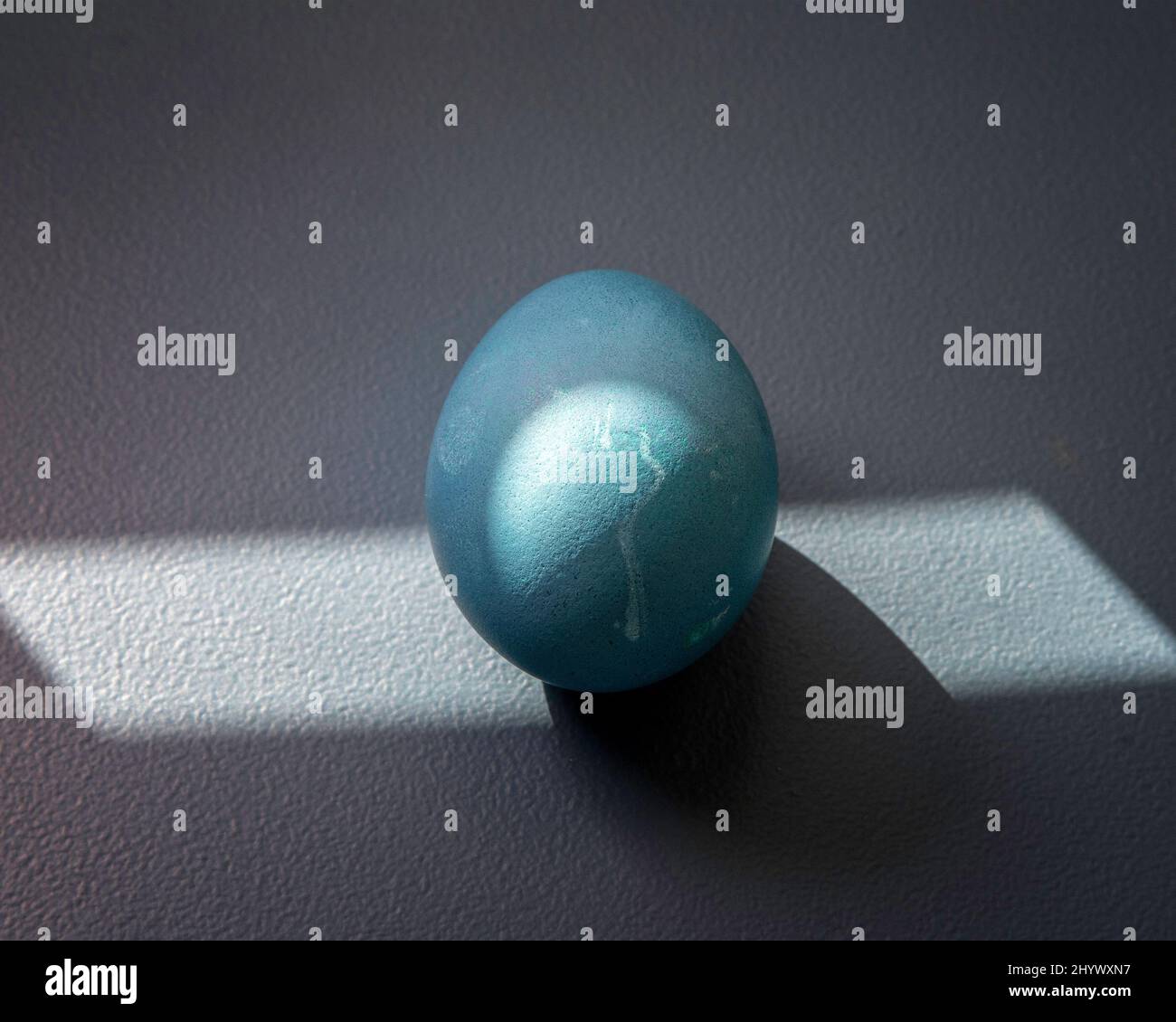 Still-life of a dyed egg on a dark  background. Stock Photo