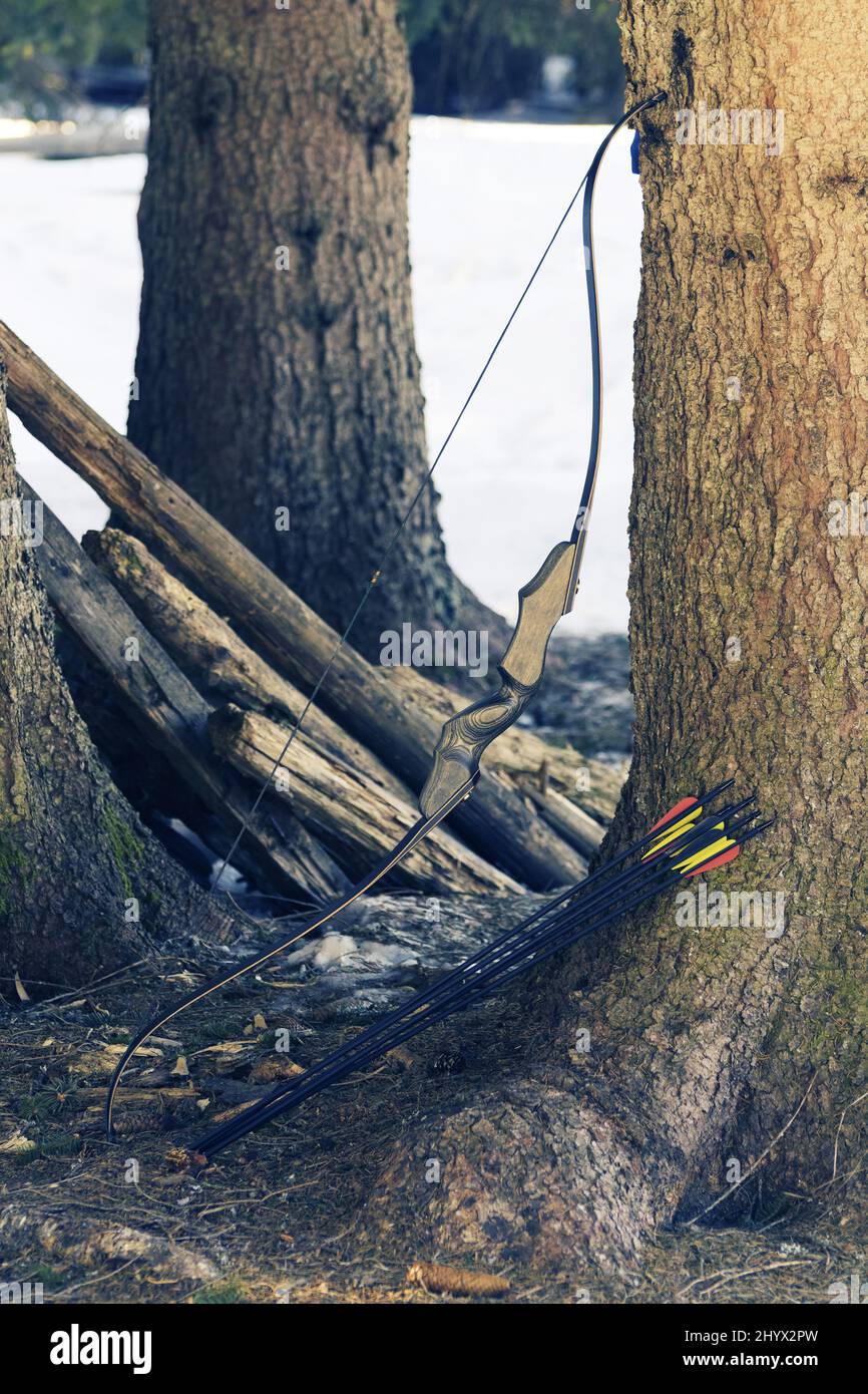 Recurve archery bow and black arrows leaning on spruce tree. Hunting, competition and survival concepts Stock Photo