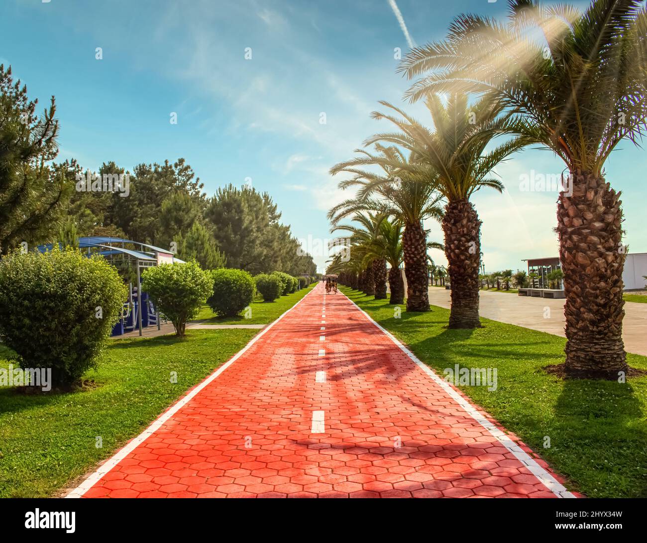 Sunny park pathway trees hi-res stock photography and images - Alamy