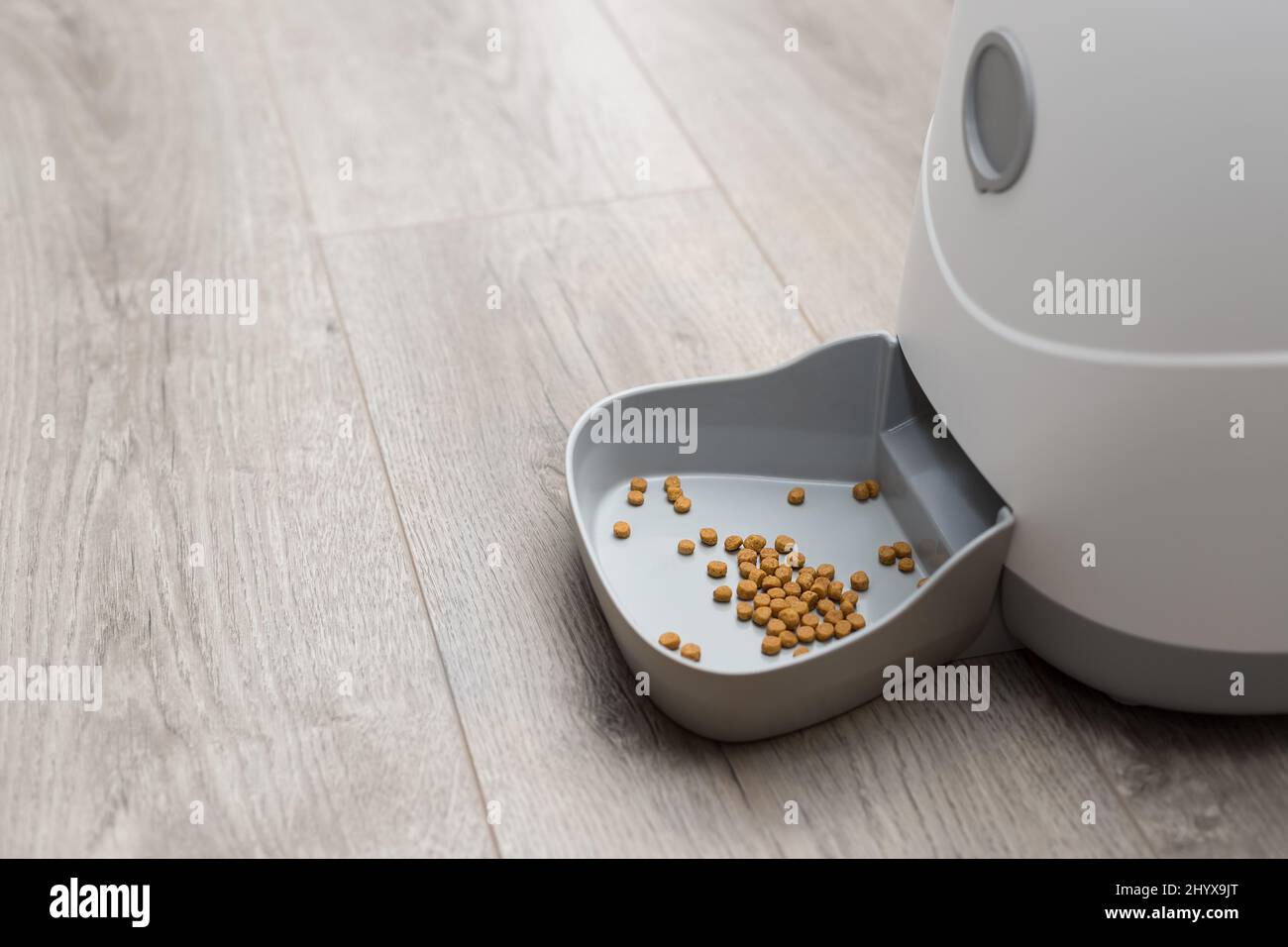 Image showcasing automatic pet food dispenser. smart cat feeder Stock Photo - Alamy