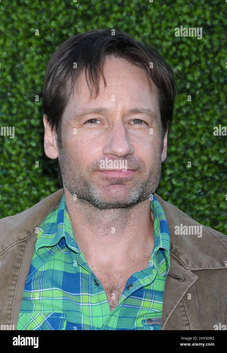 David Duchovny at the CBS, The CW, Showtime Summer Press Tour Party