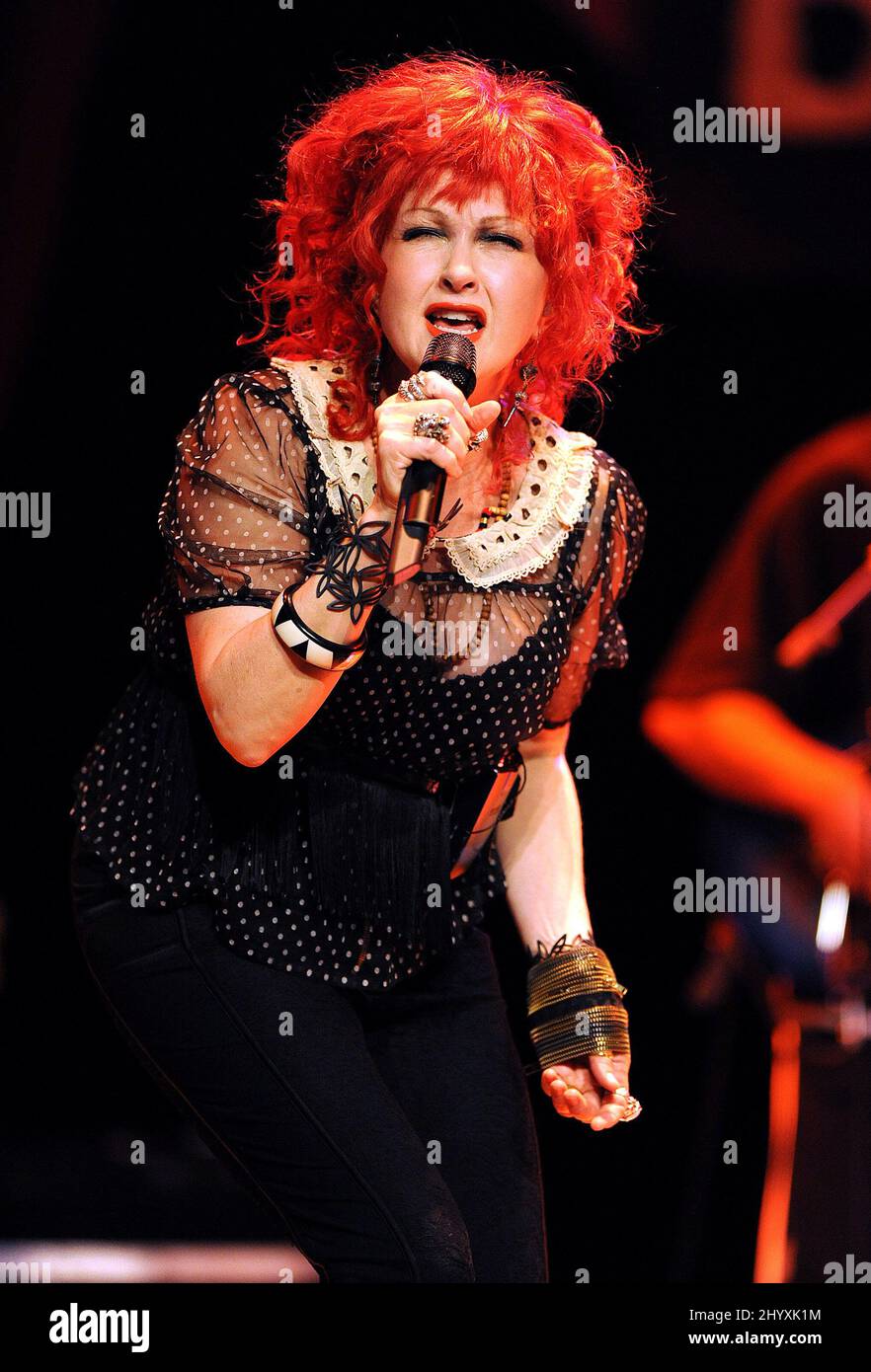 Cyndi Lauper in concert during the 'Memphis Blues' Tour held at the ...