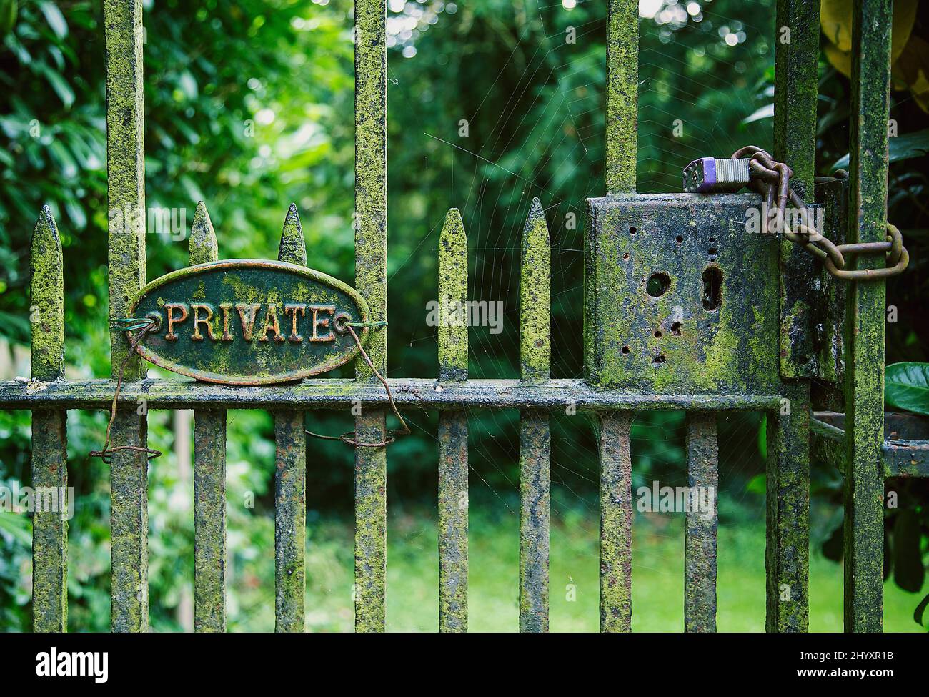 A spooky rusted iron gate with the word private on a plaque, locked closed and secured with a padlock and chain. Stock Photo