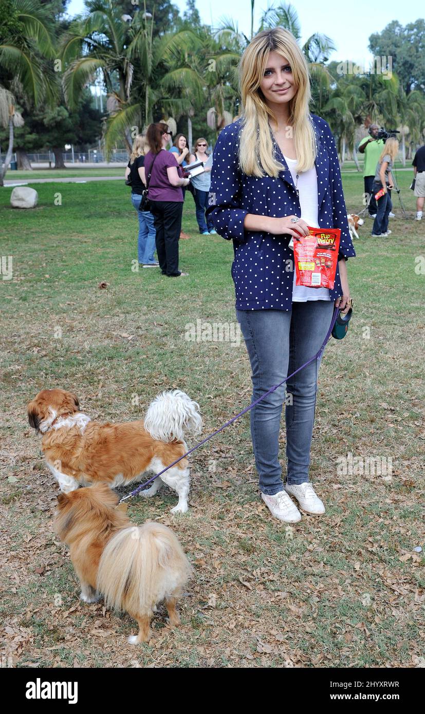Mischa Barton and her dogs Ziggy and Charlie at the Pup-Peroni Couch Talk  Event held at Balboa Sports Center in Encico in California, USA Stock Photo  - Alamy
