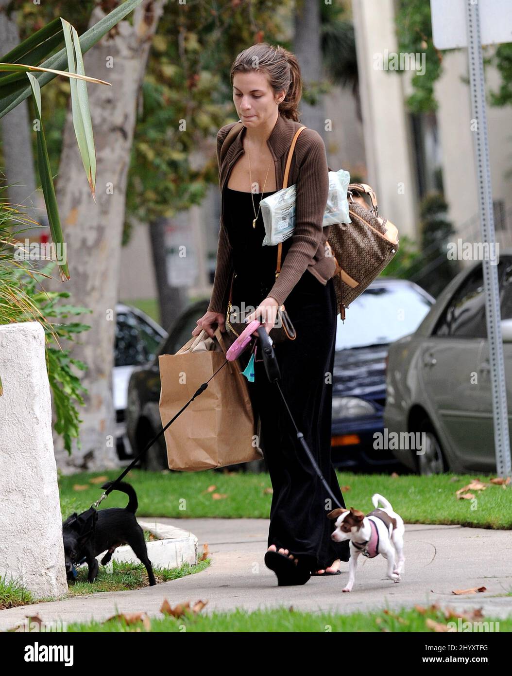 Rachel McCord is seen out walking her dogs in Los Angeles, USA. Stock Photo