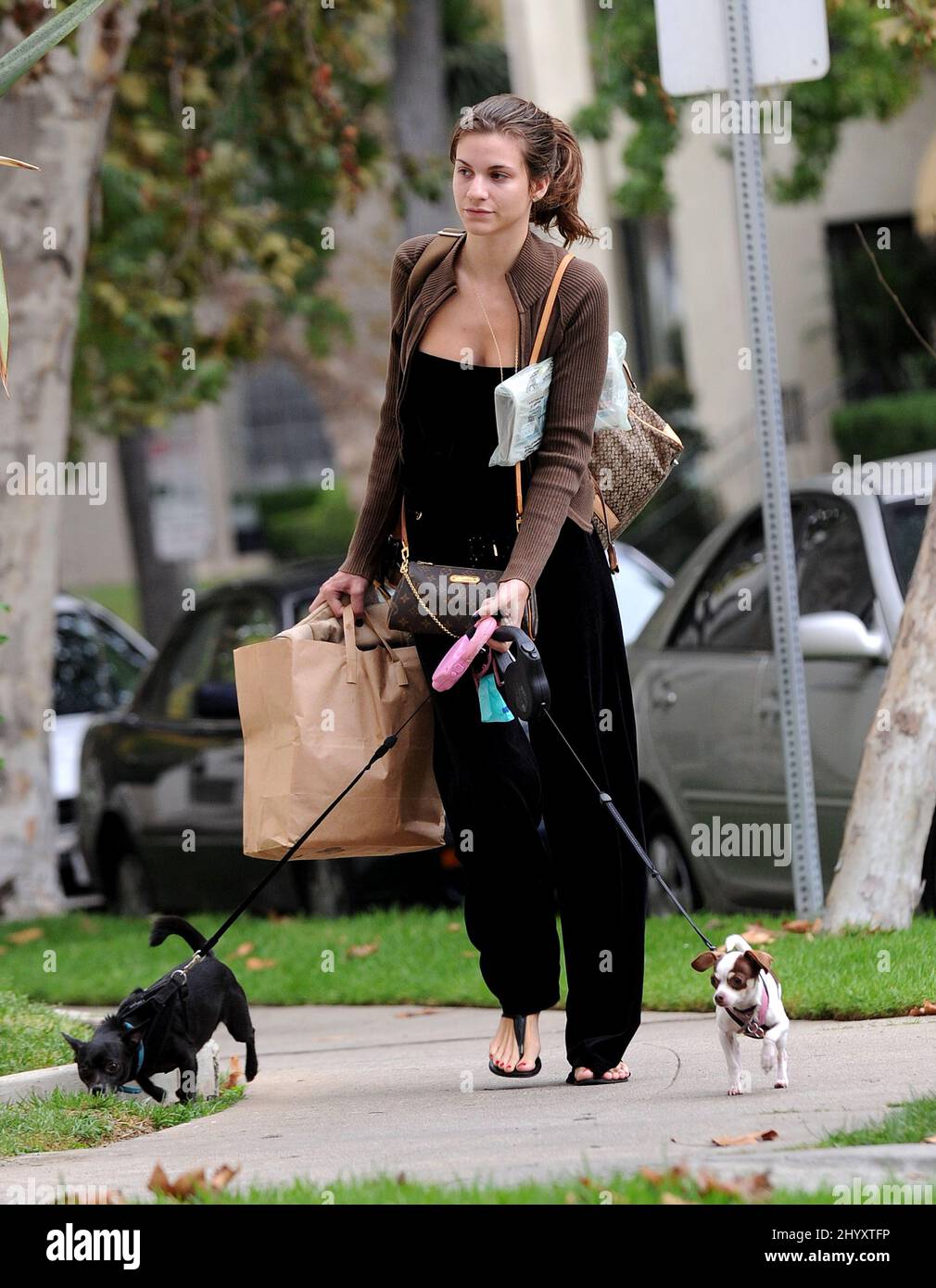 Rachel McCord is seen out walking her dogs in Los Angeles, USA. Stock Photo