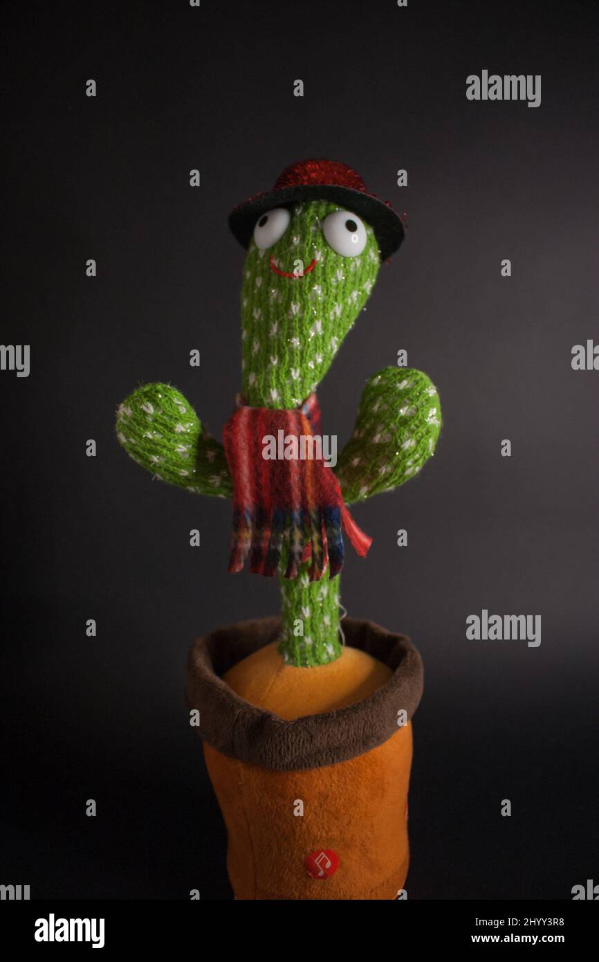 cactus varieties arizona Buy Night-blooming Cereus Phoenix, AZ | C. repandus