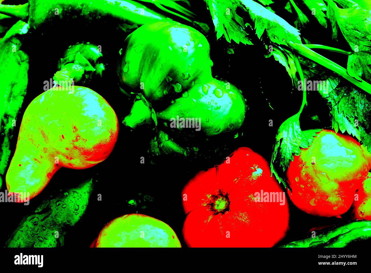 illustration of vegetables from the garden Stock Photo