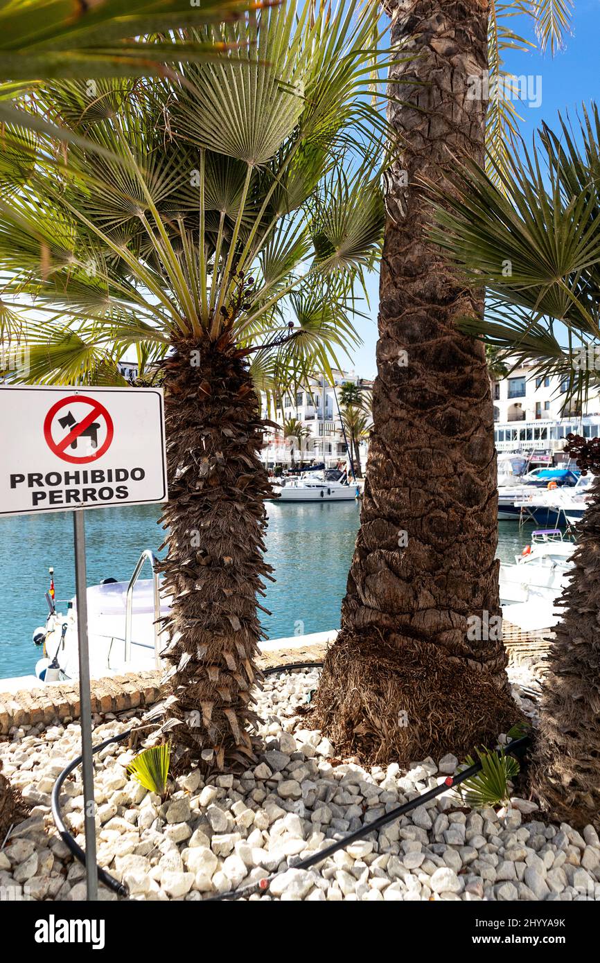 Spanish Sign "Dog not allowed" in "Puerto de la Duquesa" bay , famous