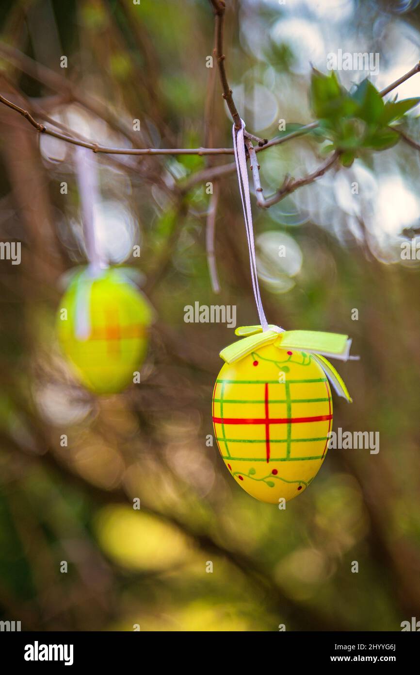 Easter eggs hanging on a branches outdoor. Stock Photo